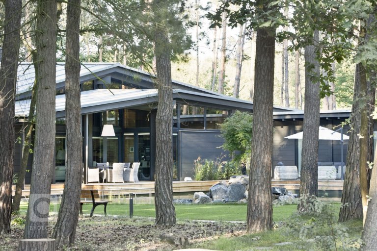 add picture to album