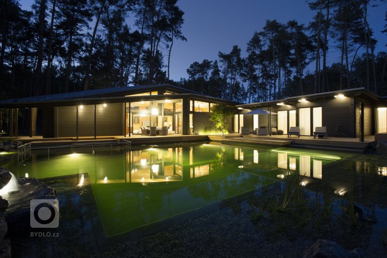 add picture to album