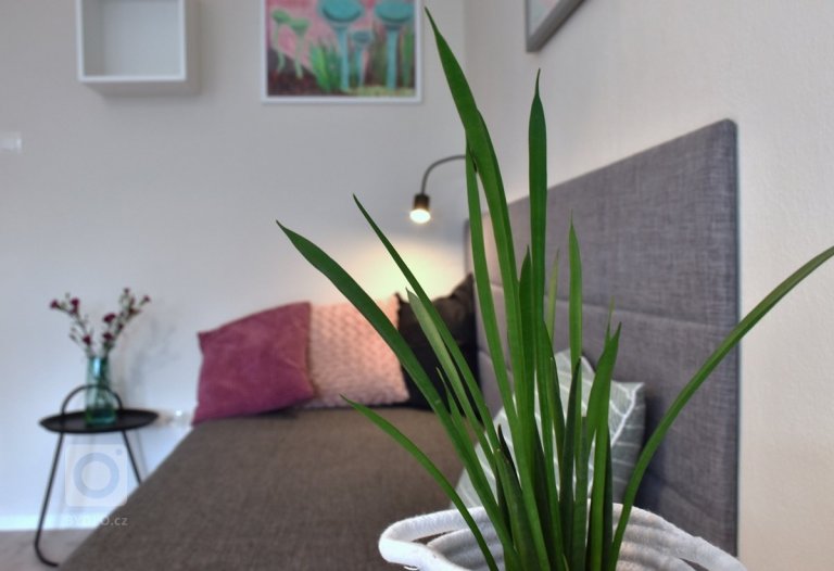 add picture to album