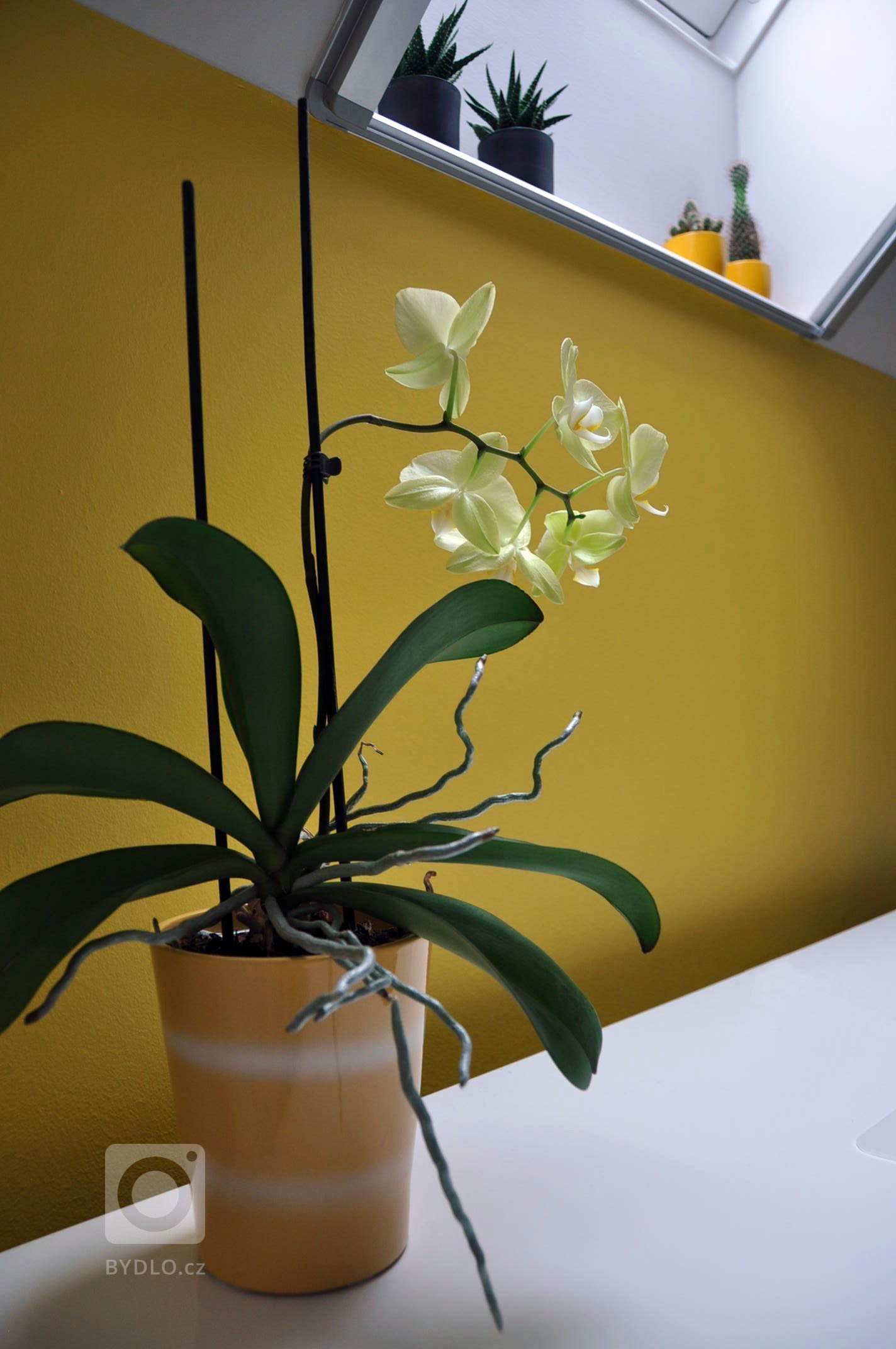 Hlavním požadavkem v návrhu dívčího pokoje pro 18letou slečnu byla velká šatna a zachování stávající postele. Dispoziční rozmístění bylo přizpůsobeno zkosení…