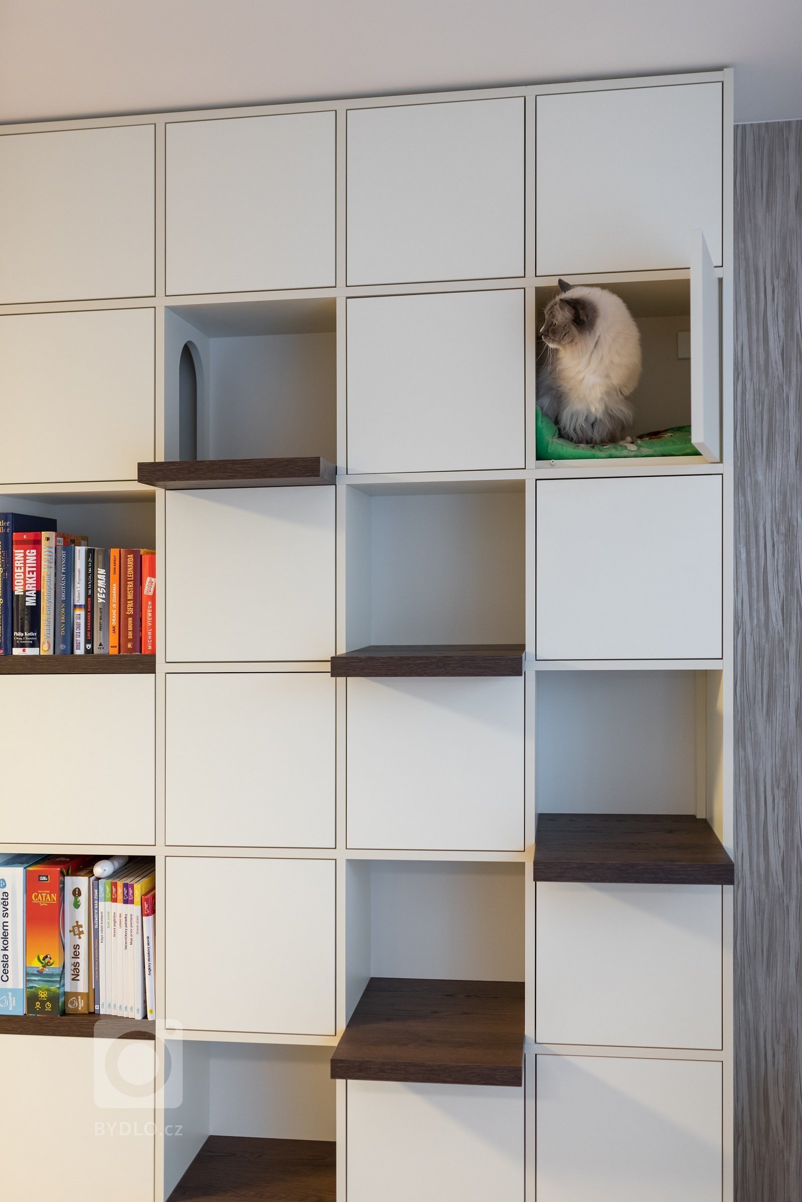 Mým hlavním úkolem bylo kromě obýváku a kuchyně vymyslet knihovnu, která bude sloužit i kočkám - po které budou moci vyšplhat až na vrchol a v&nbsp;klidu…