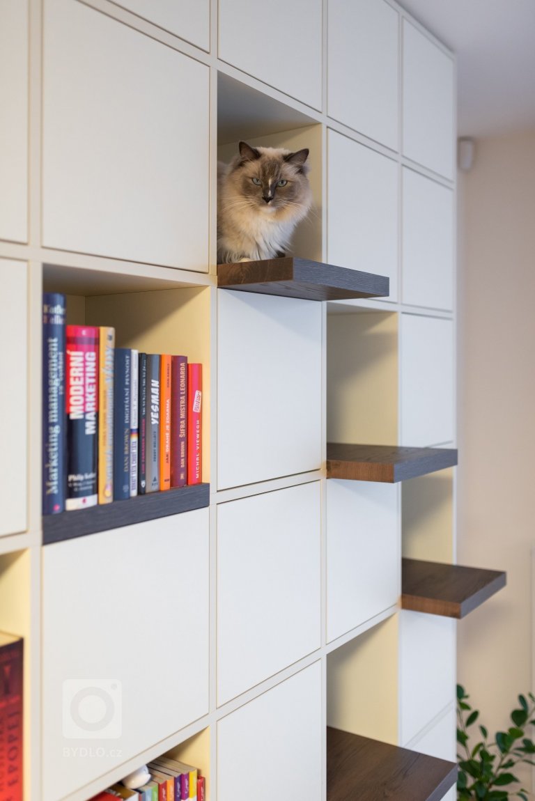 add picture to album