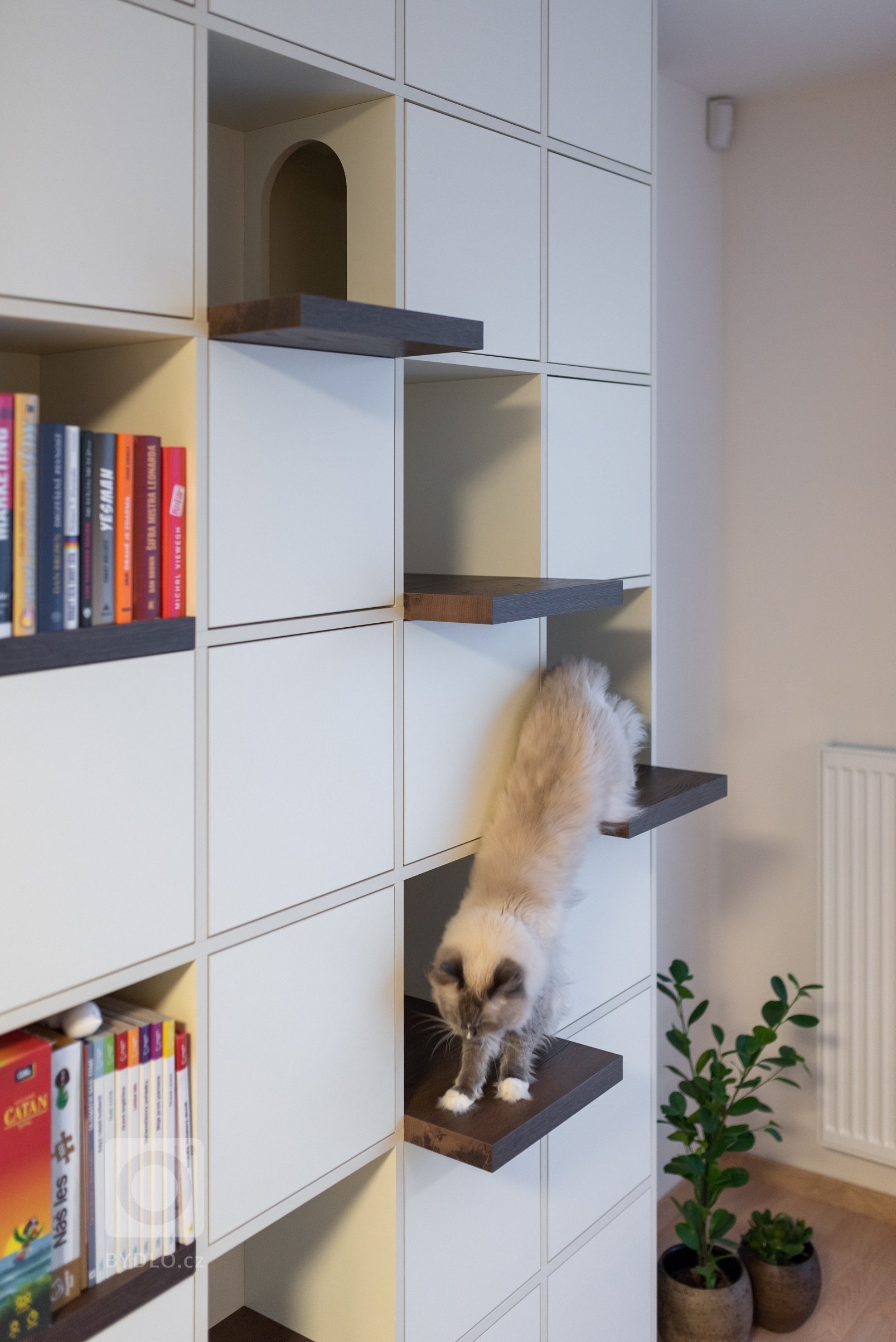 Mým hlavním úkolem bylo kromě obýváku a kuchyně vymyslet knihovnu, která bude sloužit i kočkám - po které budou moci vyšplhat až na vrchol a v&nbsp;klidu…