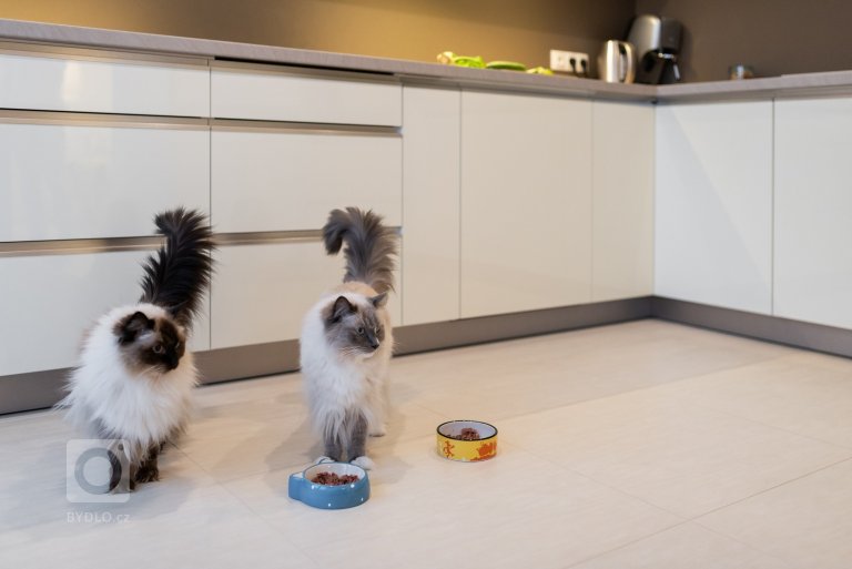 add picture to album