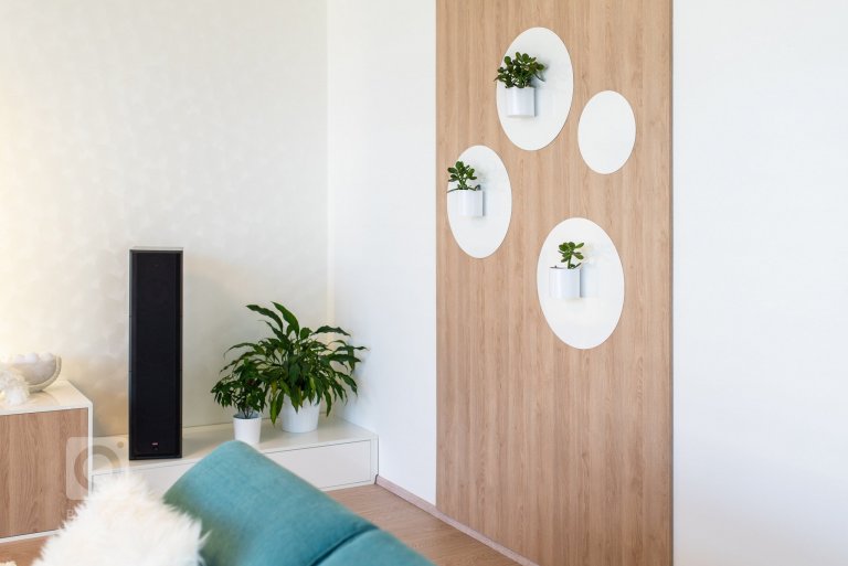 add picture to album