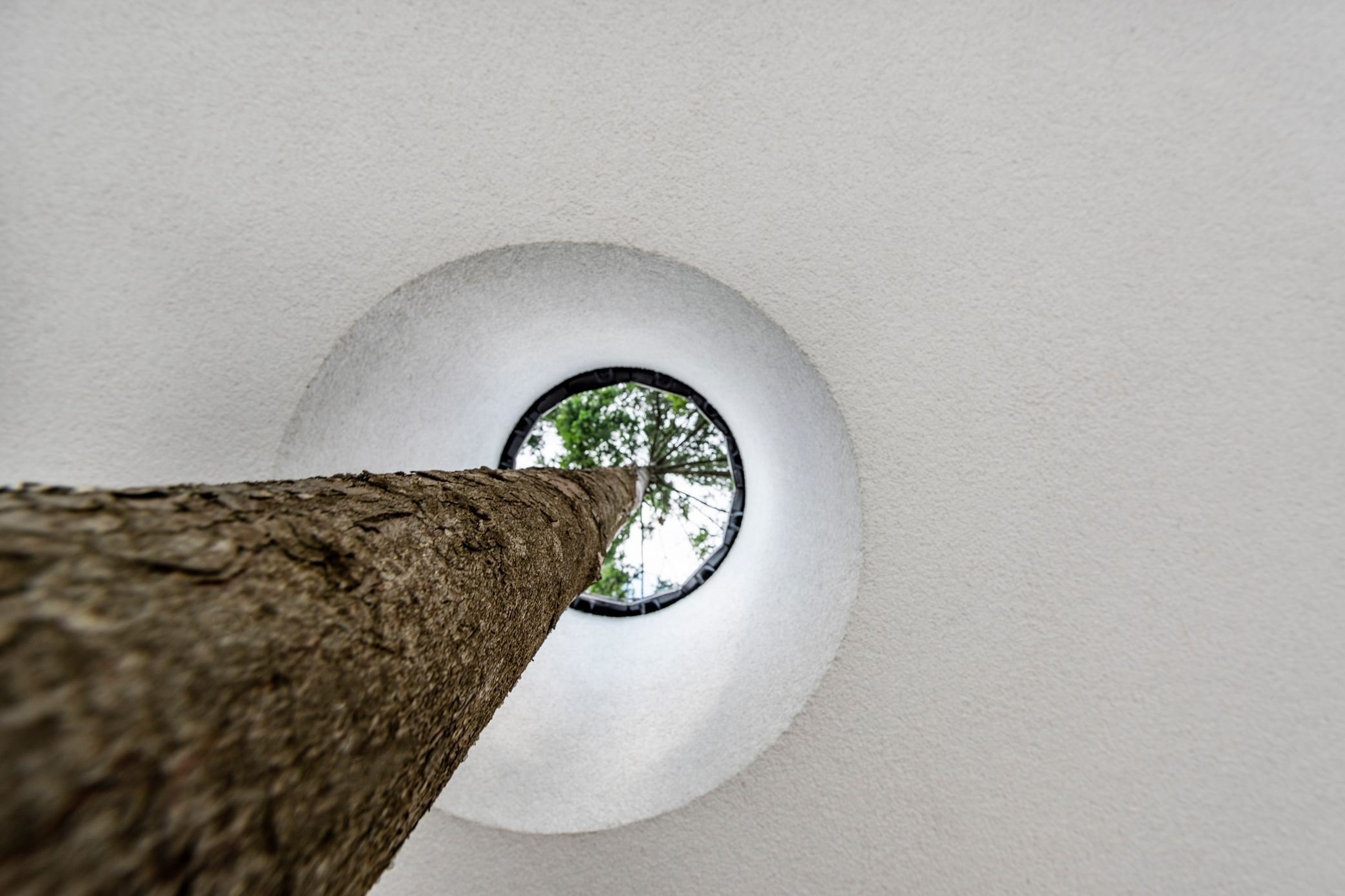 Dům s unikátním přemostěním „Bridge house“