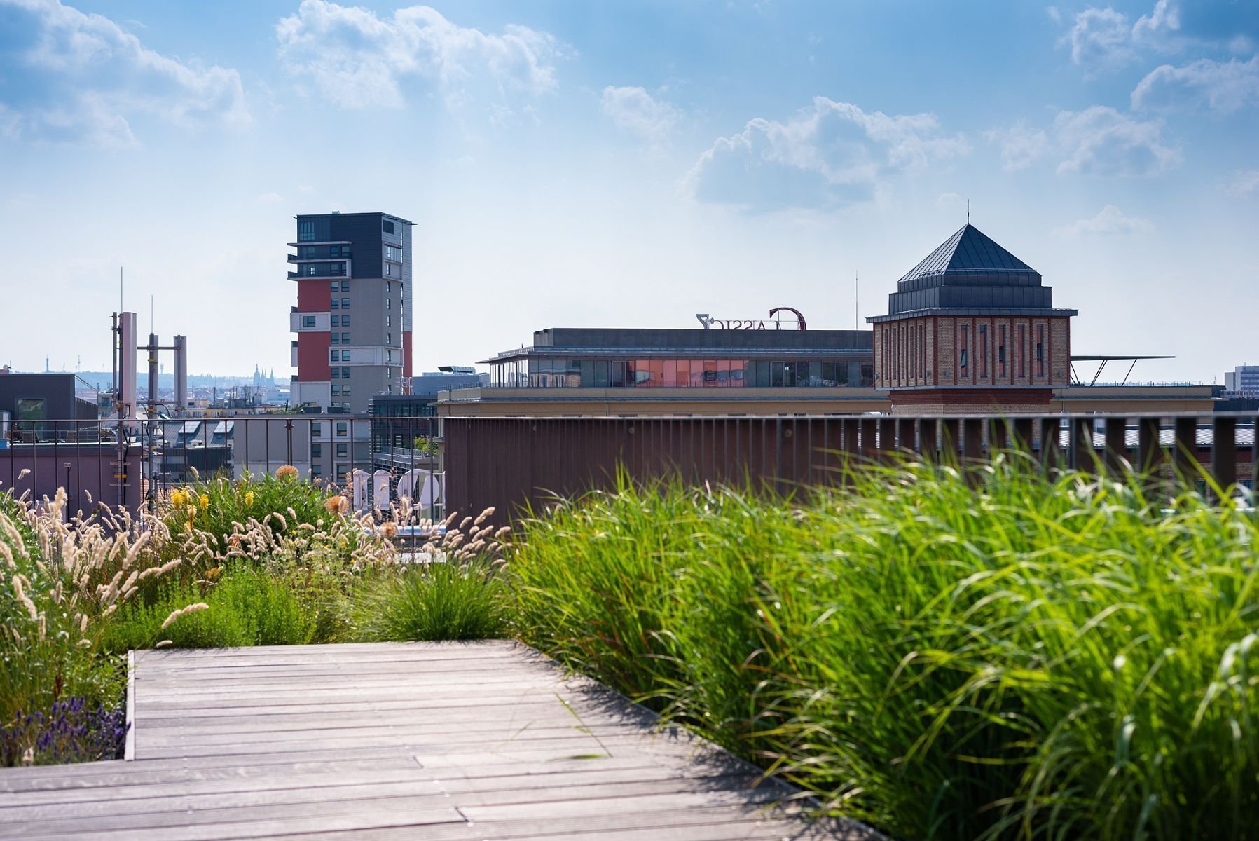 Bydlení se zahradou na střeše