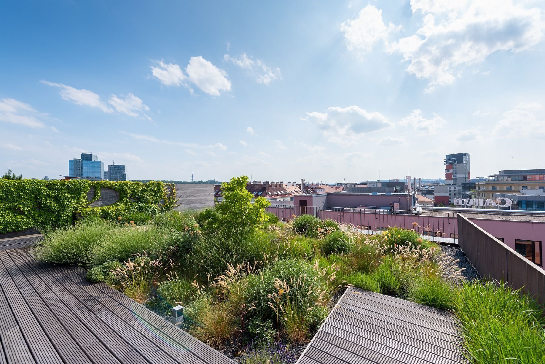 Bydlení se zahradou na střeše