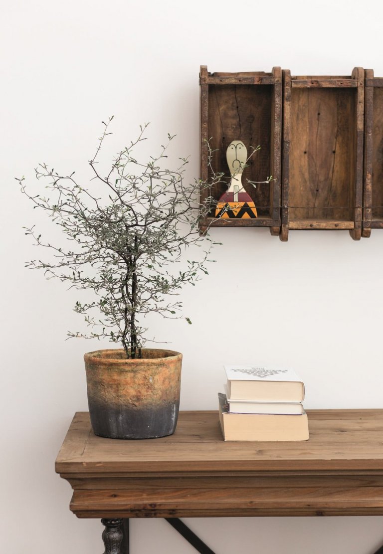 Byt v činžovním domě s atmosférou starého Londýna