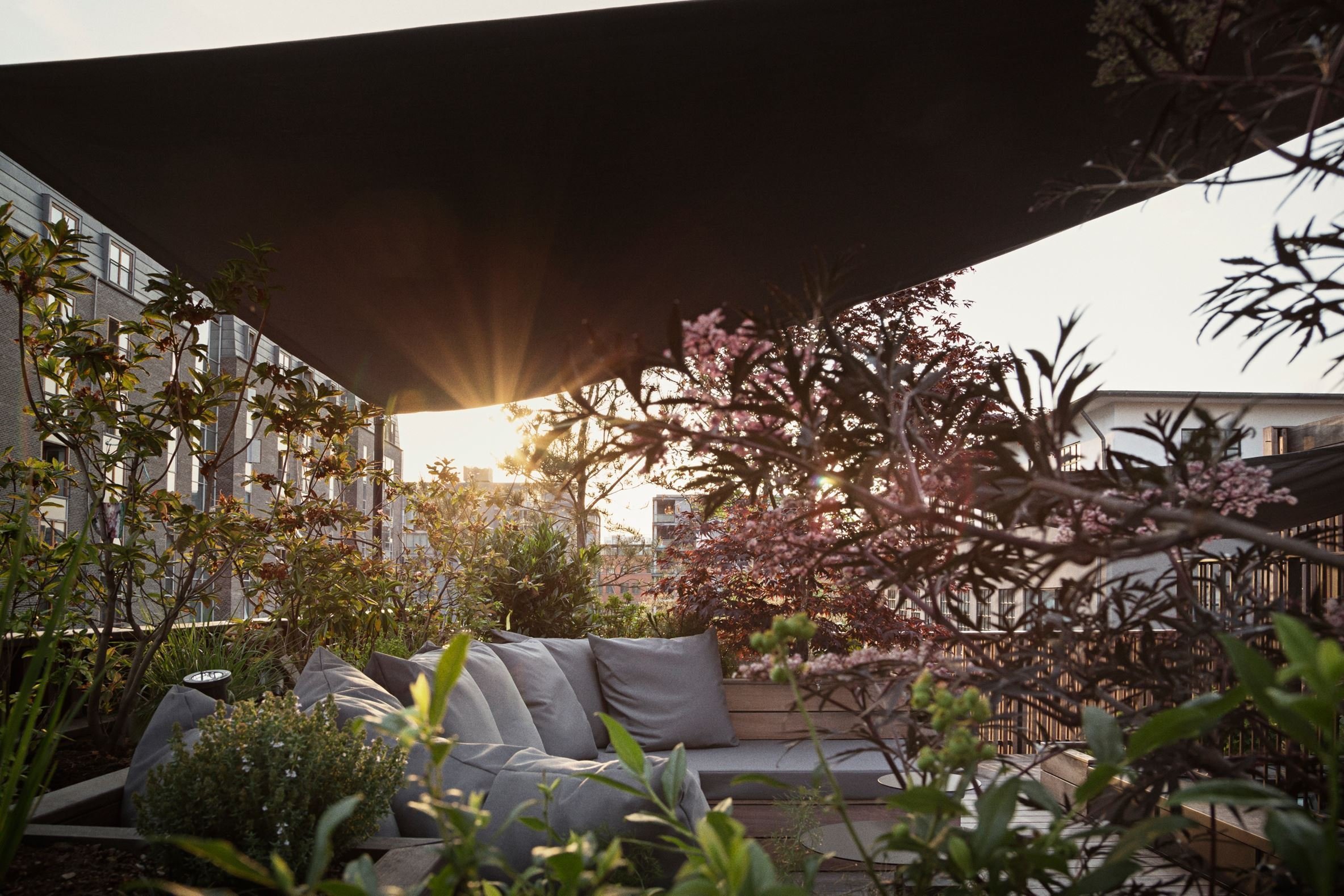 Dům, kde se ocel mísí se zelení