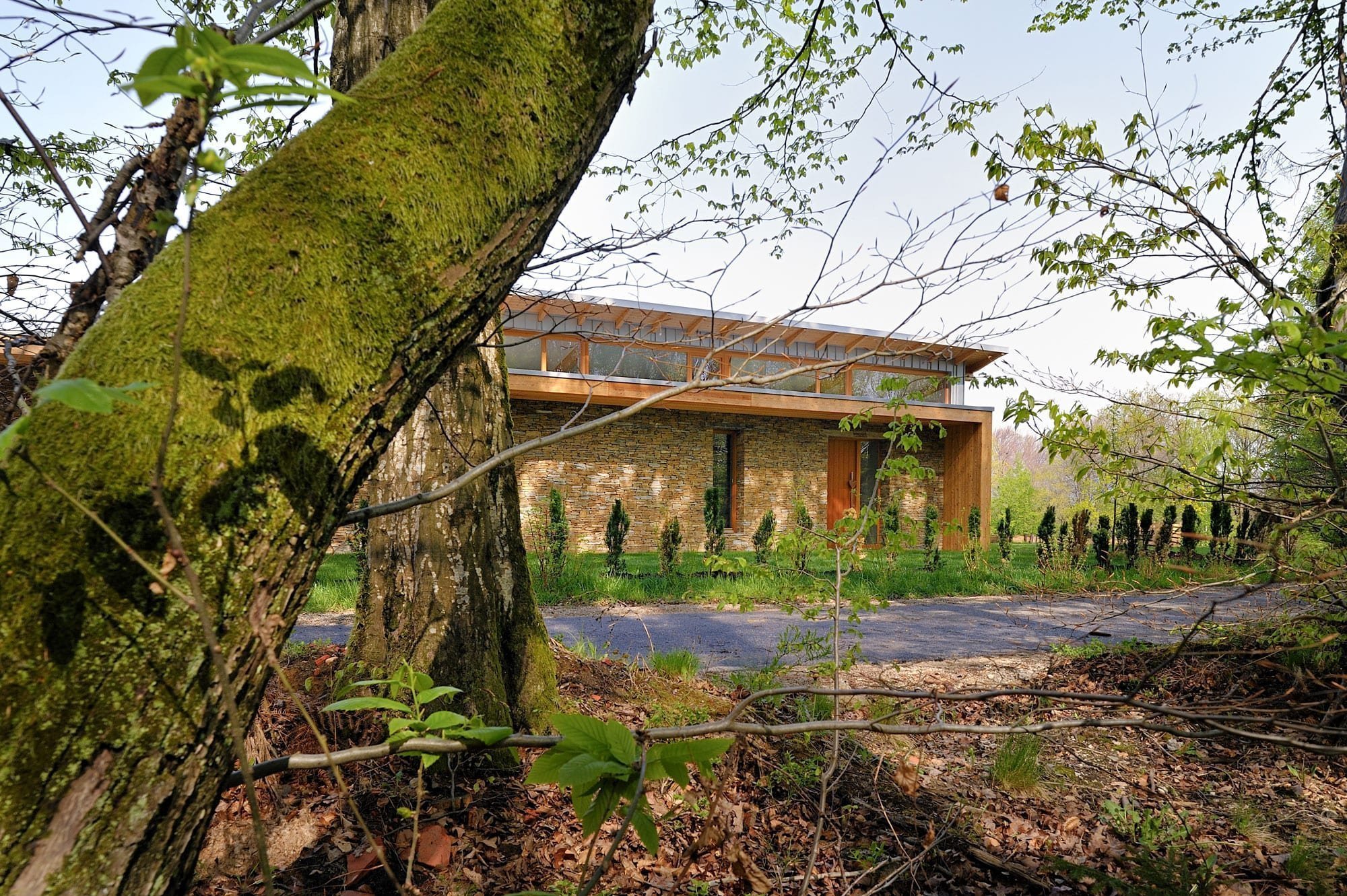 Dům stojící v blízkosti lesa