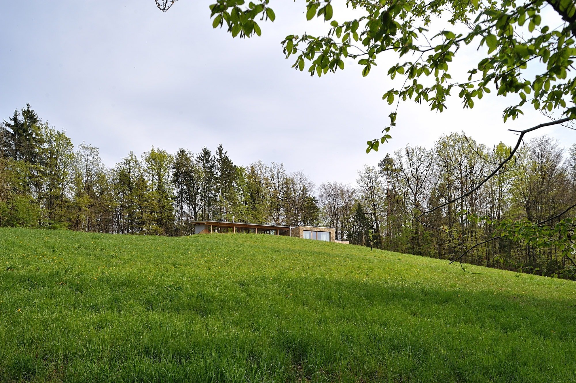 Dům stojící v blízkosti lesa