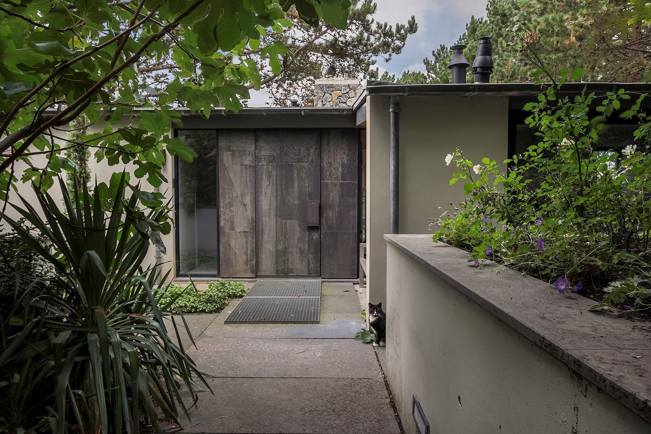 Dům obklopený lesem