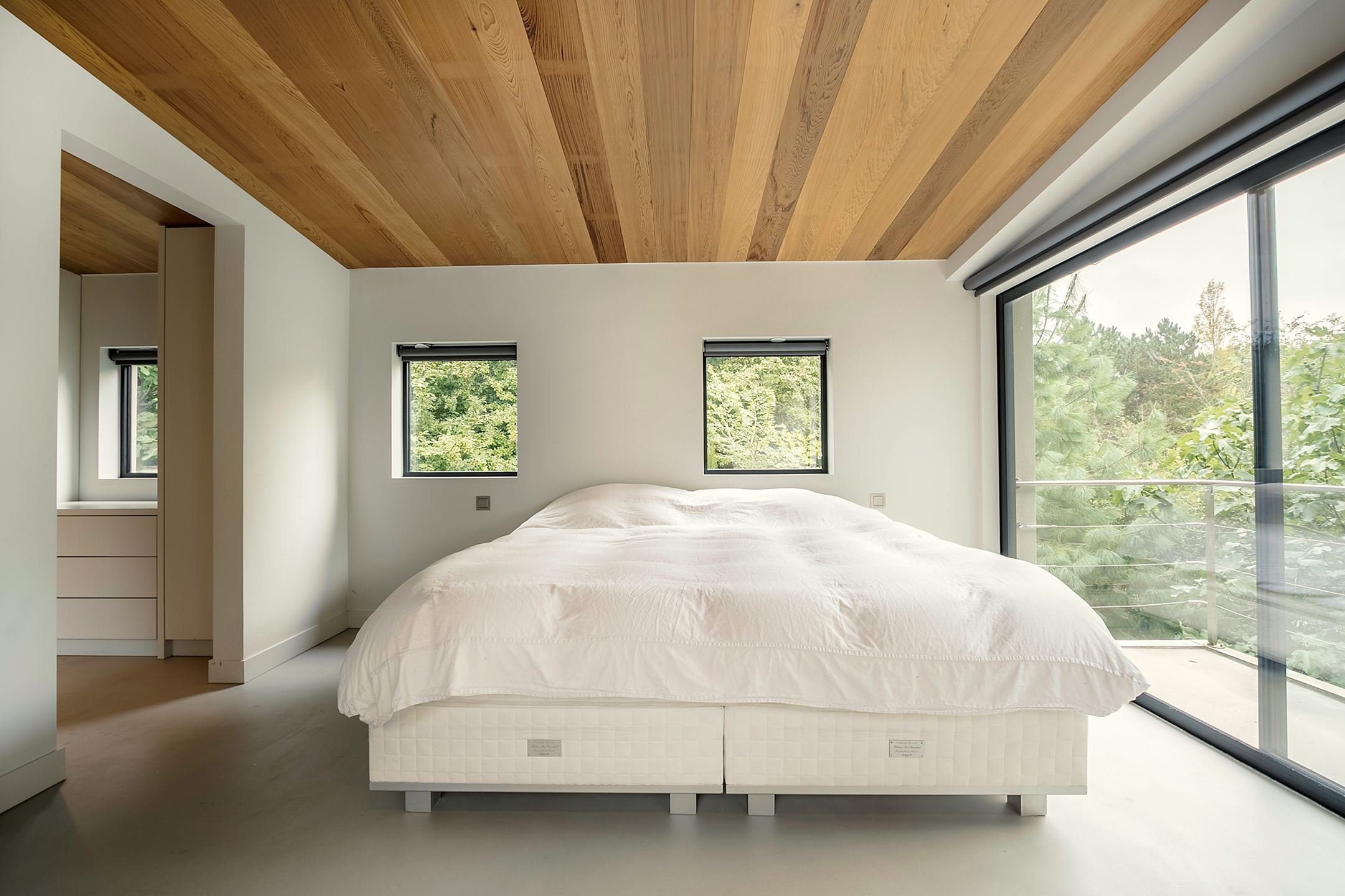 Dům obklopený lesem