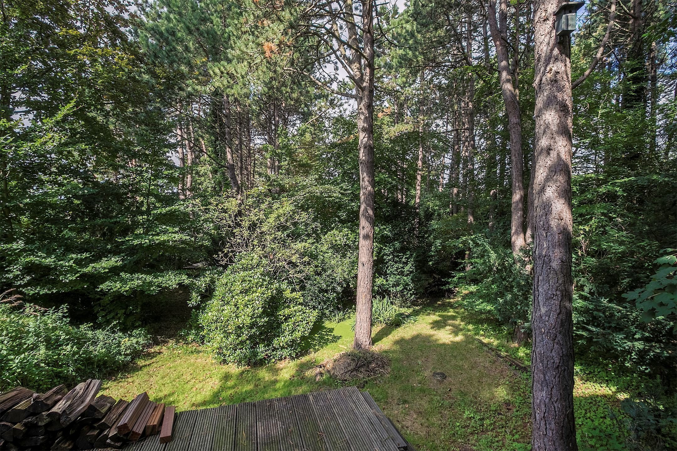 Dům obklopený lesem