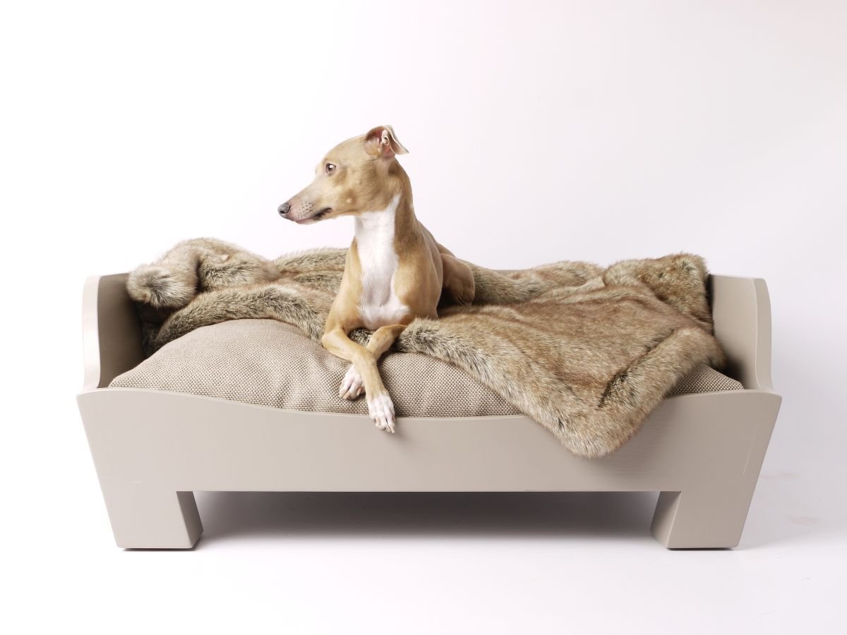 Jak vybrat pelíšek pro psa