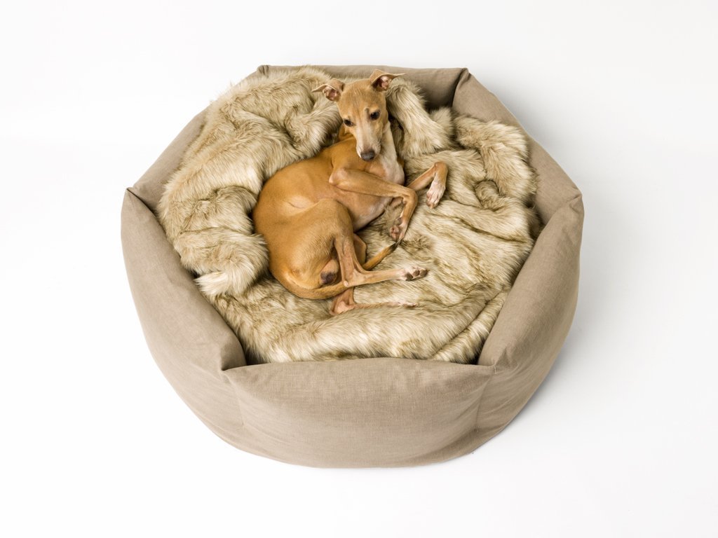 Jak vybrat pelíšek pro psa