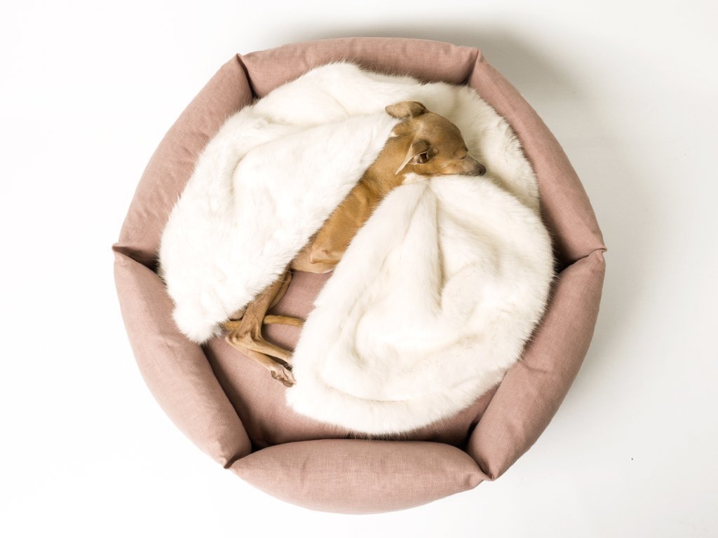 Jak vybrat pelíšek pro psa