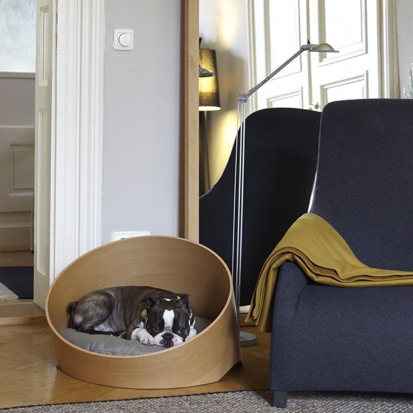 Jak vybrat pelíšek pro psa