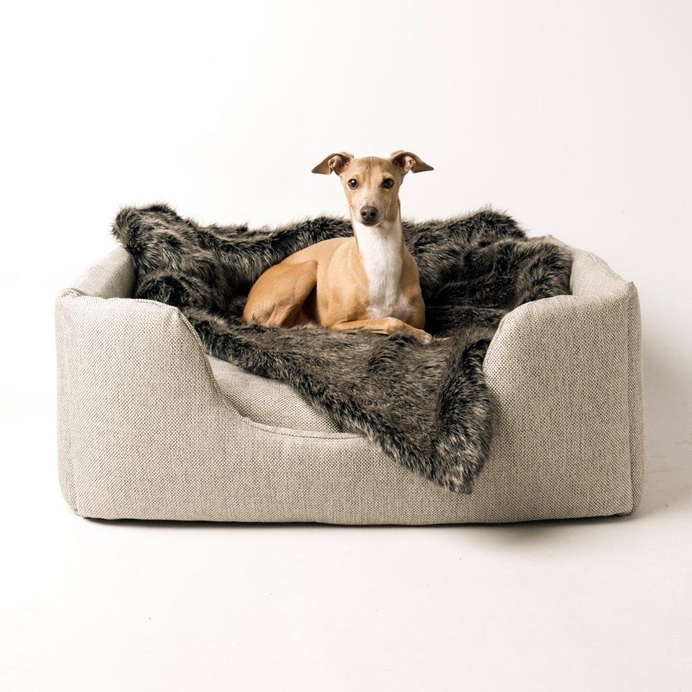 Jak vybrat pelíšek pro psa