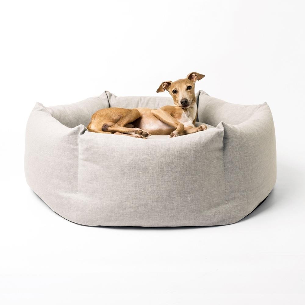 Jak vybrat pelíšek pro psa