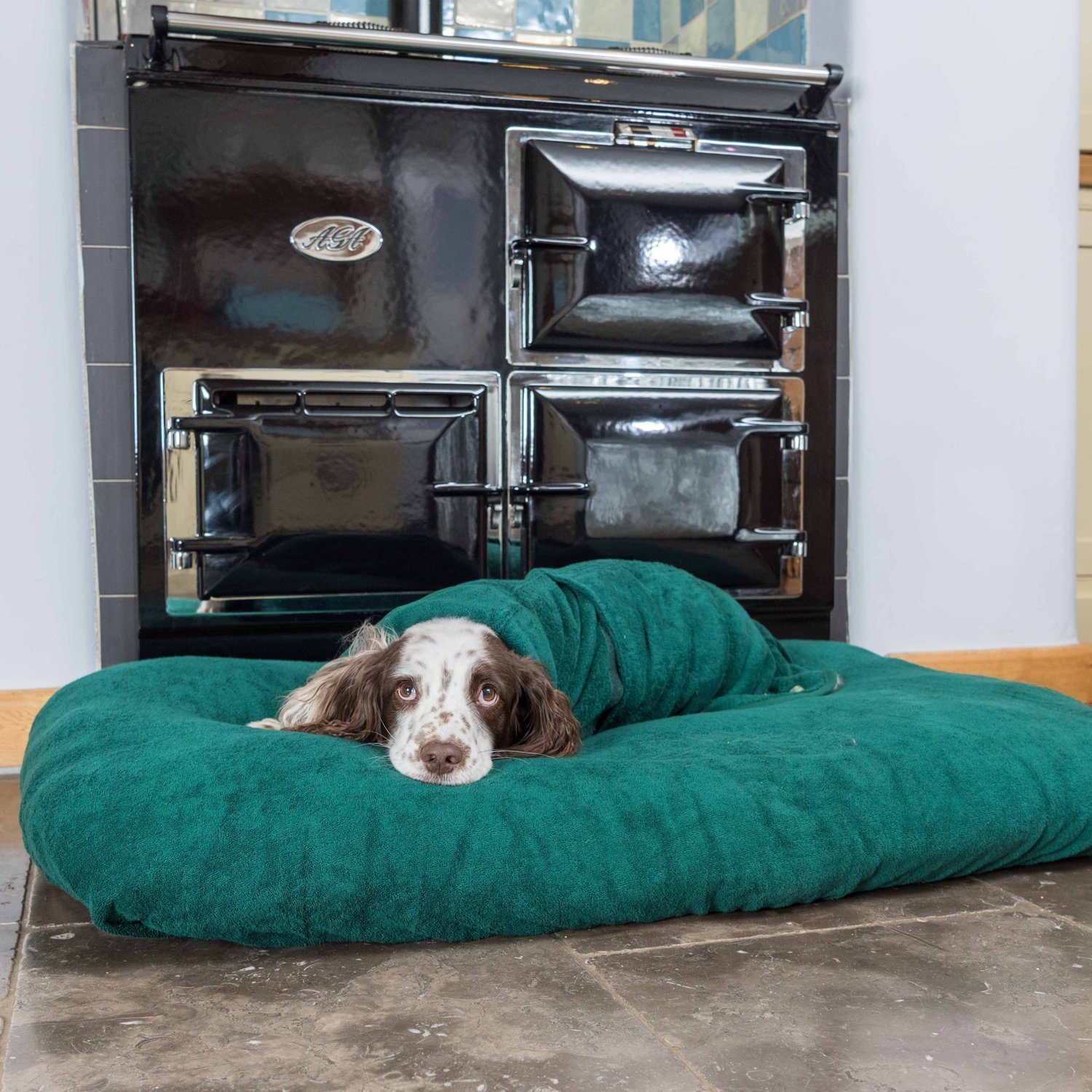 V chladných dnech ocení pejsek deku.