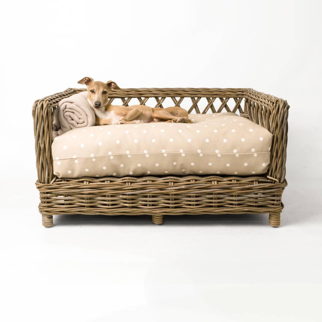 Jak vybrat pelíšek pro psa