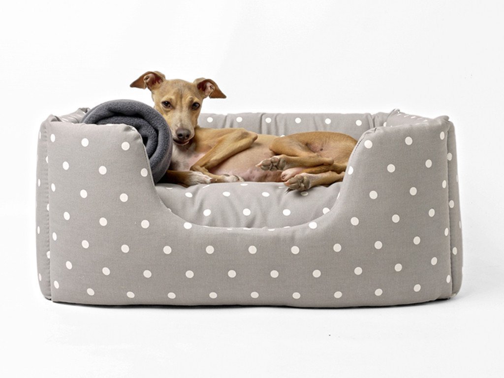 Jak vybrat pelíšek pro psa