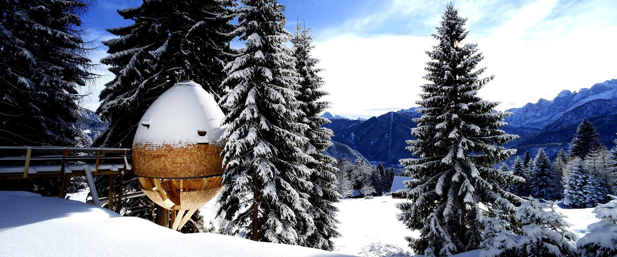Jedinečný dům na stromě má blízko k přírodě