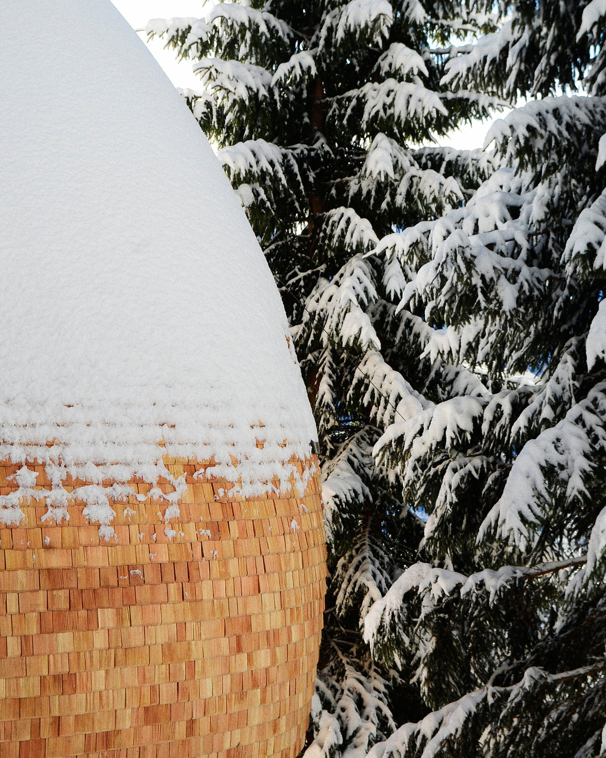 Jedinečný dům na stromě má blízko k přírodě