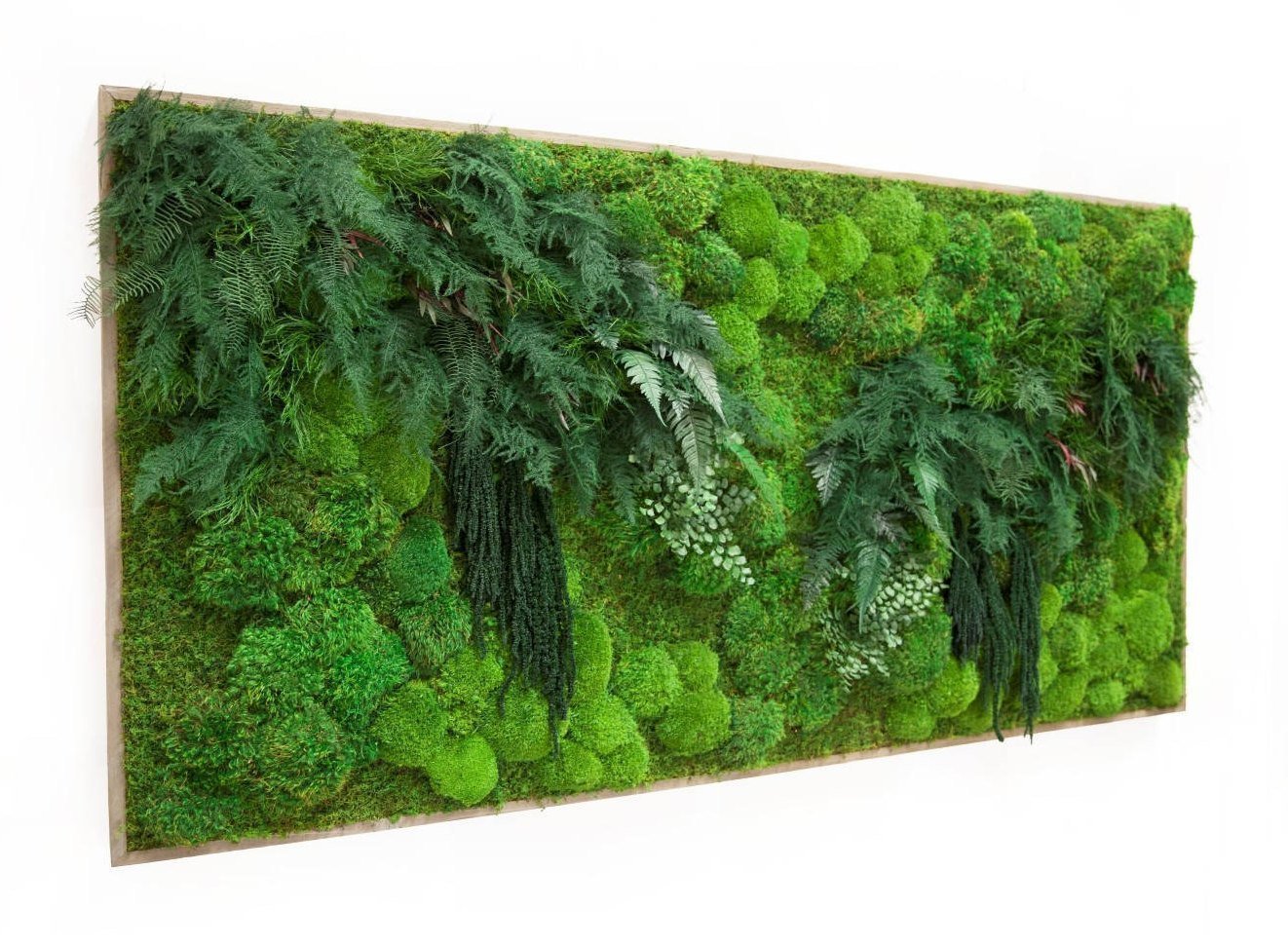 Obrazy z mumifikovaného mechu jsou výjimečný interiérový prvek