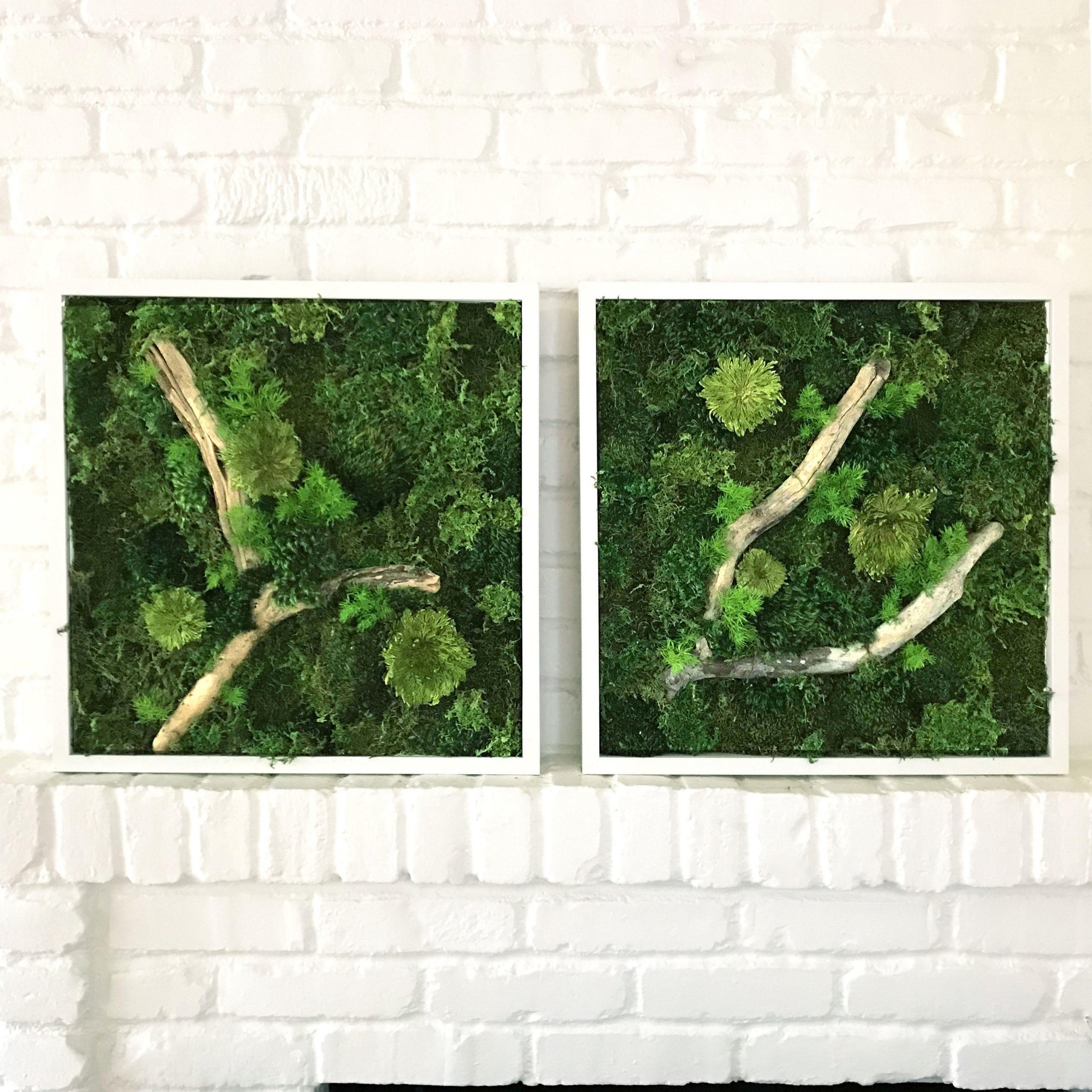 Obrazy z mumifikovaného mechu jsou výjimečný interiérový prvek