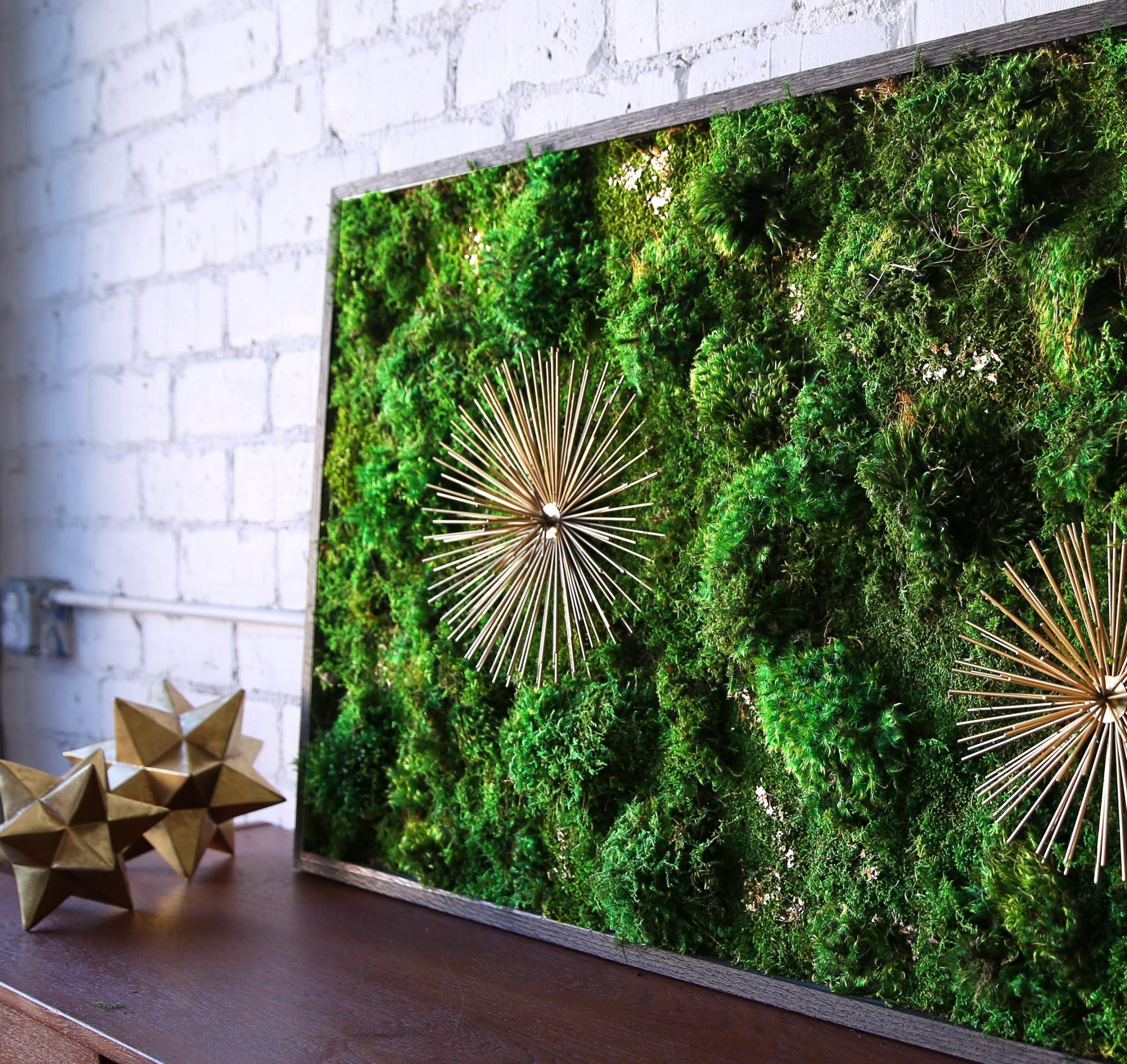 Obrazy z mumifikovaného mechu jsou výjimečný interiérový prvek