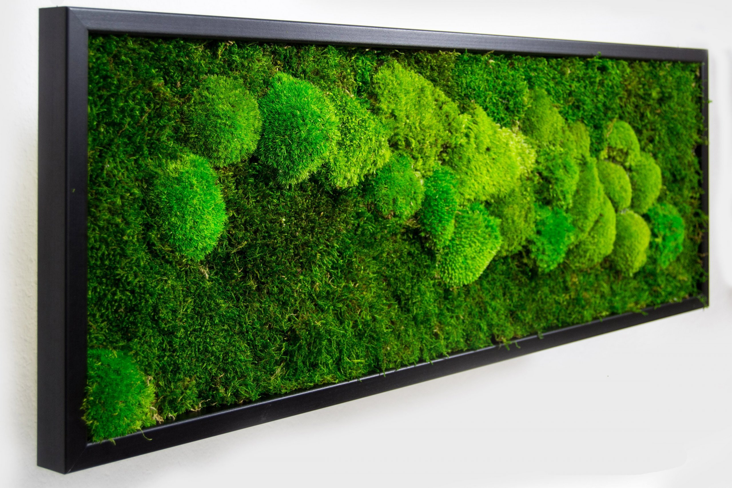 Obrazy z mumifikovaného mechu jsou výjimečný interiérový prvek