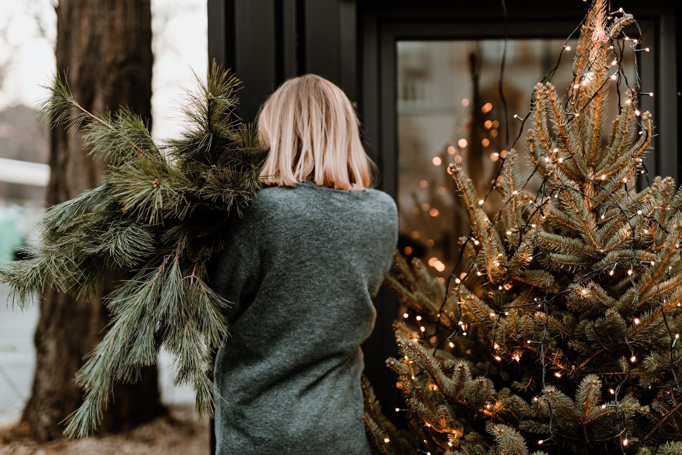 Víte, na co si dát pozor při nákupu vánočního stromku?