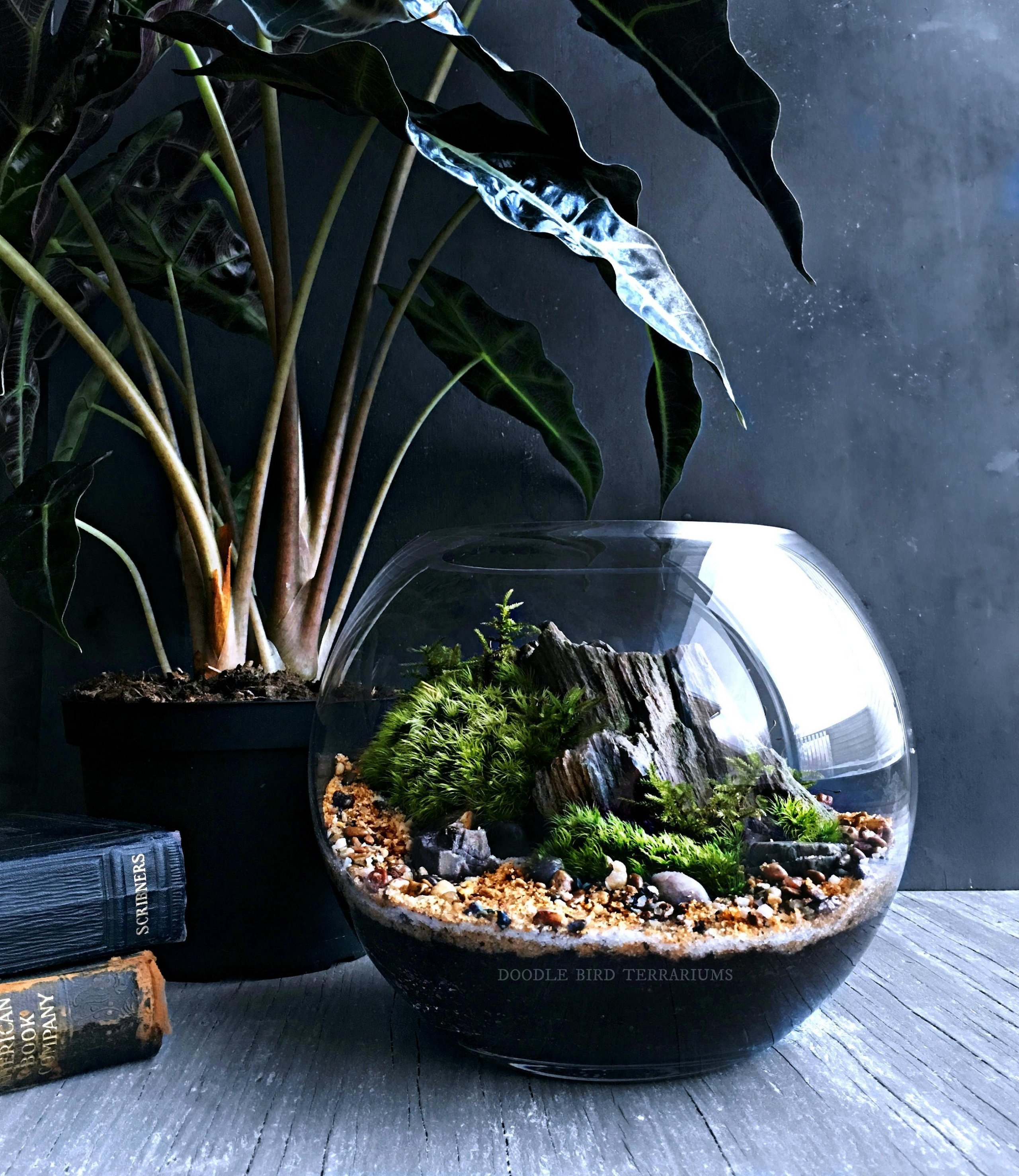 Přineste si kousek přírody domů