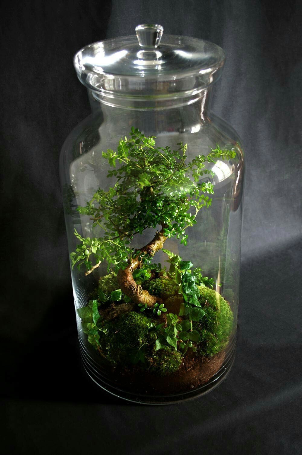 Přineste si kousek přírody domů