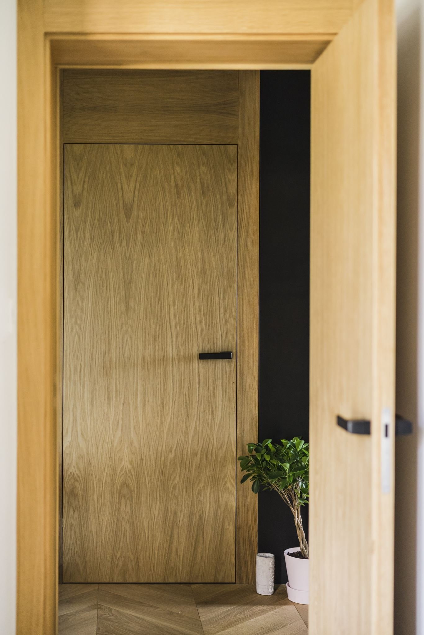 Sen o moderním bydlení v bažinaté krajině