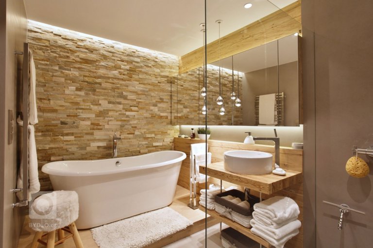 Vana nebo sprchový kout?