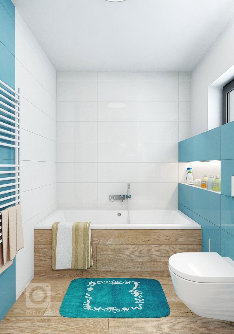 Vana nebo sprchový kout?