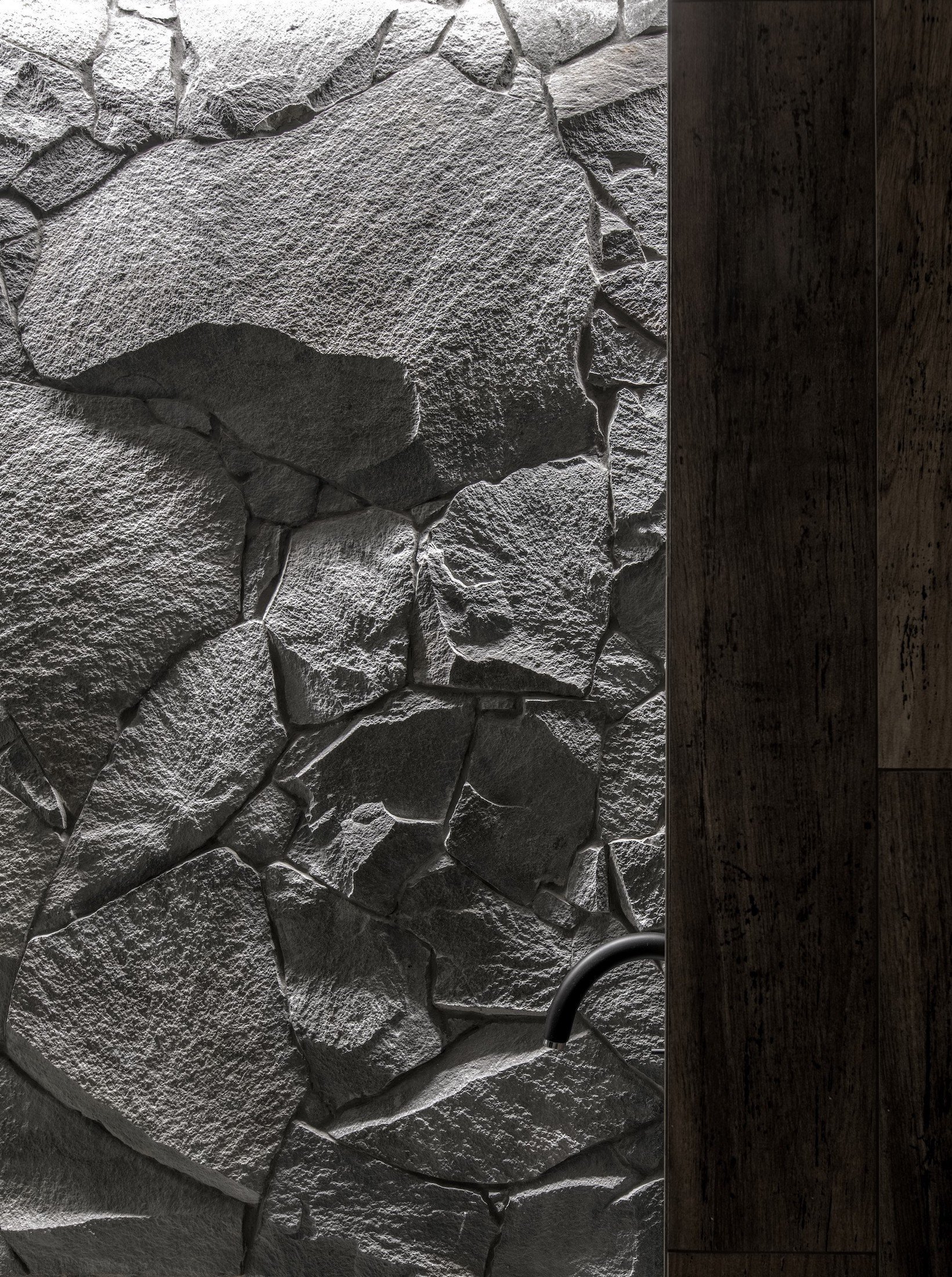 Venkovský dům - Forest House