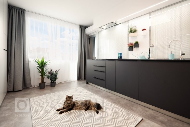 add picture to album