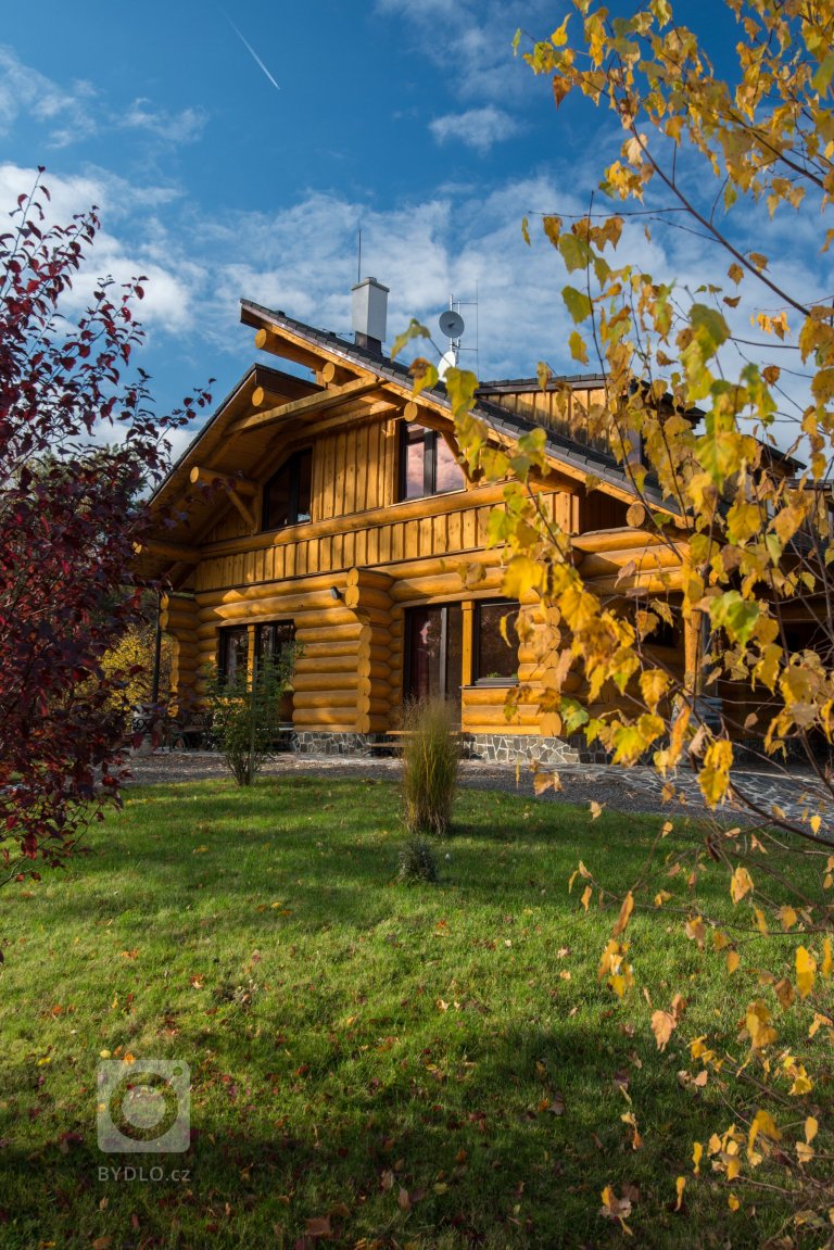 add picture to album