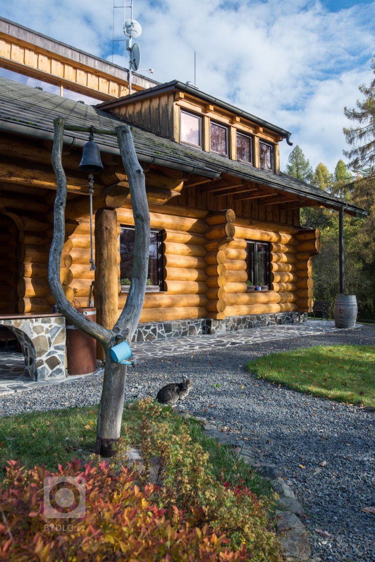 add picture to album