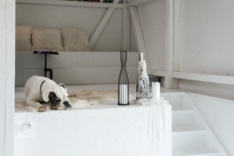 add picture to album