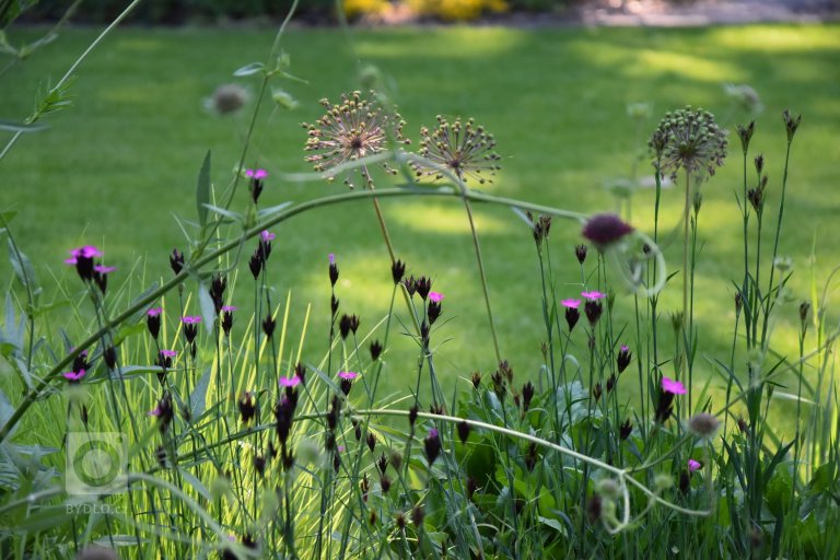 add picture to album