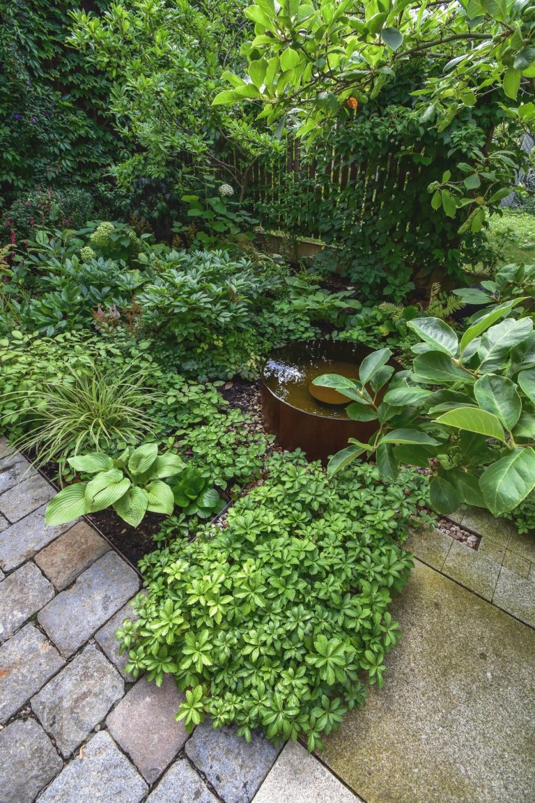 add picture to album