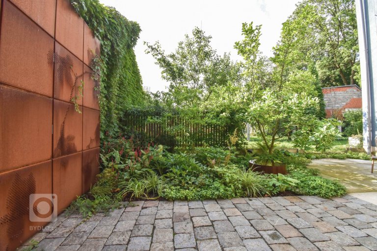 add picture to album