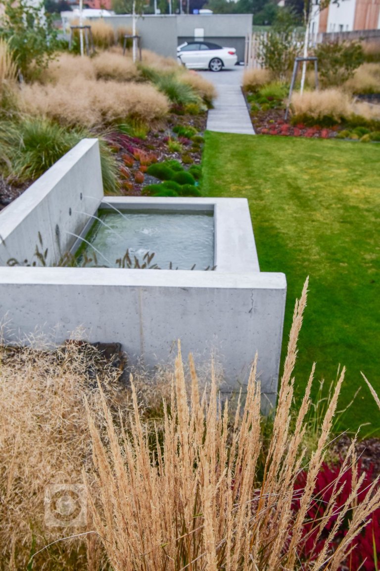 add picture to album