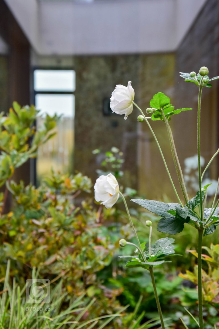 add picture to album